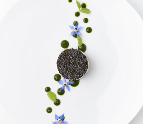 Crédit  Grégoire Gardette   