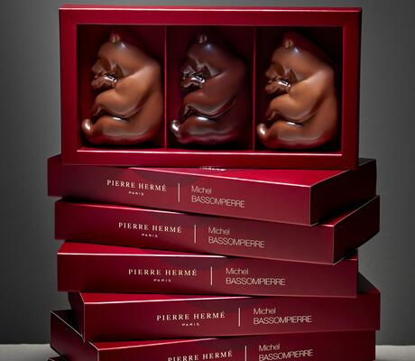 Crédit Coffret Ours Guimauve BASSOMPIERRE 