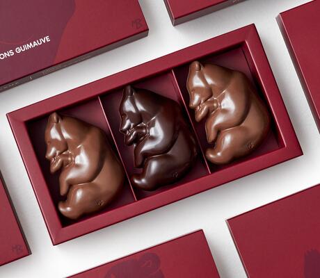 Crédit Coffret Ours Guimauve BASSOMPIERRE 