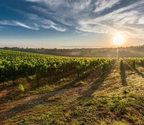 Crédit Photo de Pixabay: https://www.pexels.com/fr-fr/photo/terres-agricoles-au-coucher-du-soleil-51947/