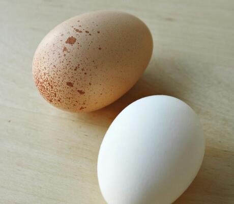 credit pexel Madison Inouye 