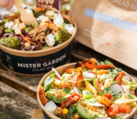 crédit MISTER GARDEN