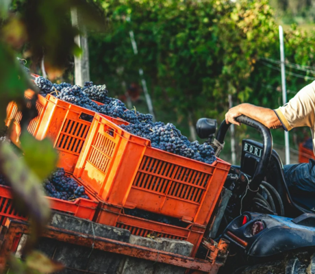 crédit Les Grappes Pro