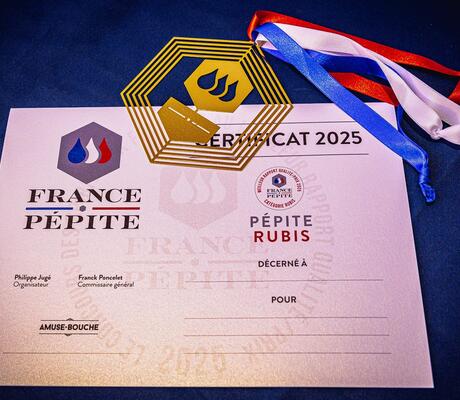 crédit France Pépite