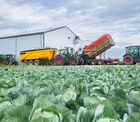 Crédit  Concours Général Agricole