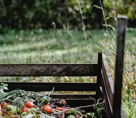 Crédit Photo de Eva Bronzini: https://www.pexels.com/fr-fr/photo/fruits-rouges-et-verts-sur-banc-en-bois-brun-5503338/