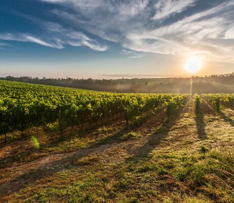 Photo de Pixabay: https://www.pexels.com/fr-fr/photo/terres-agricoles-au-coucher-du-soleil-51947/