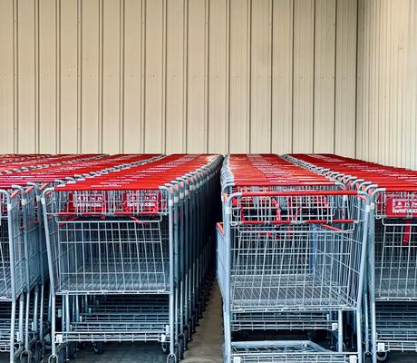 Crédit Photo de Natalia S: https://www.pexels.com/fr-fr/photo/28846953/