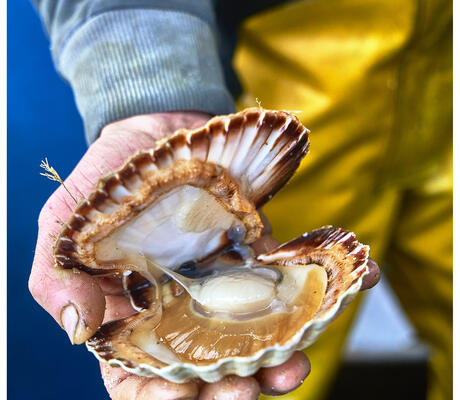 credit Saint Jacquies 2020