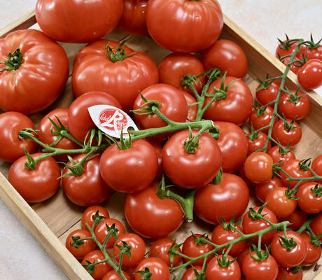 Crédit photo : Tomate Label Rouge