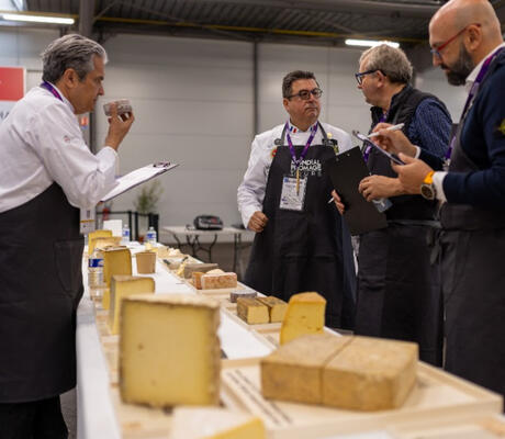 Crédit photo : Photos Alexandre ALLOUL