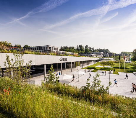 © 2025 EHL, All rights reserved.