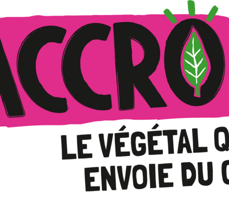 Crédit Accroc