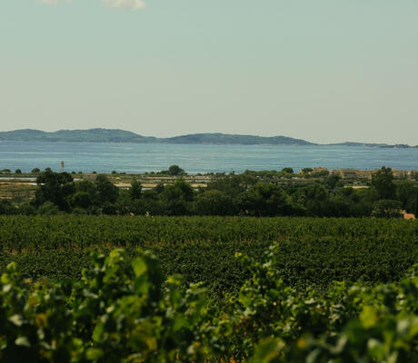 credit Château Galoupet