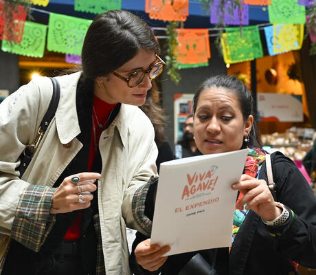 credit Festival Agave