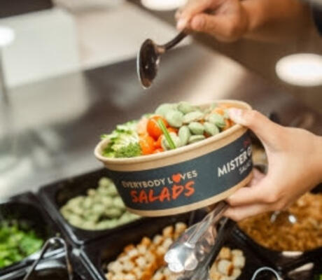 credit Mister Garden